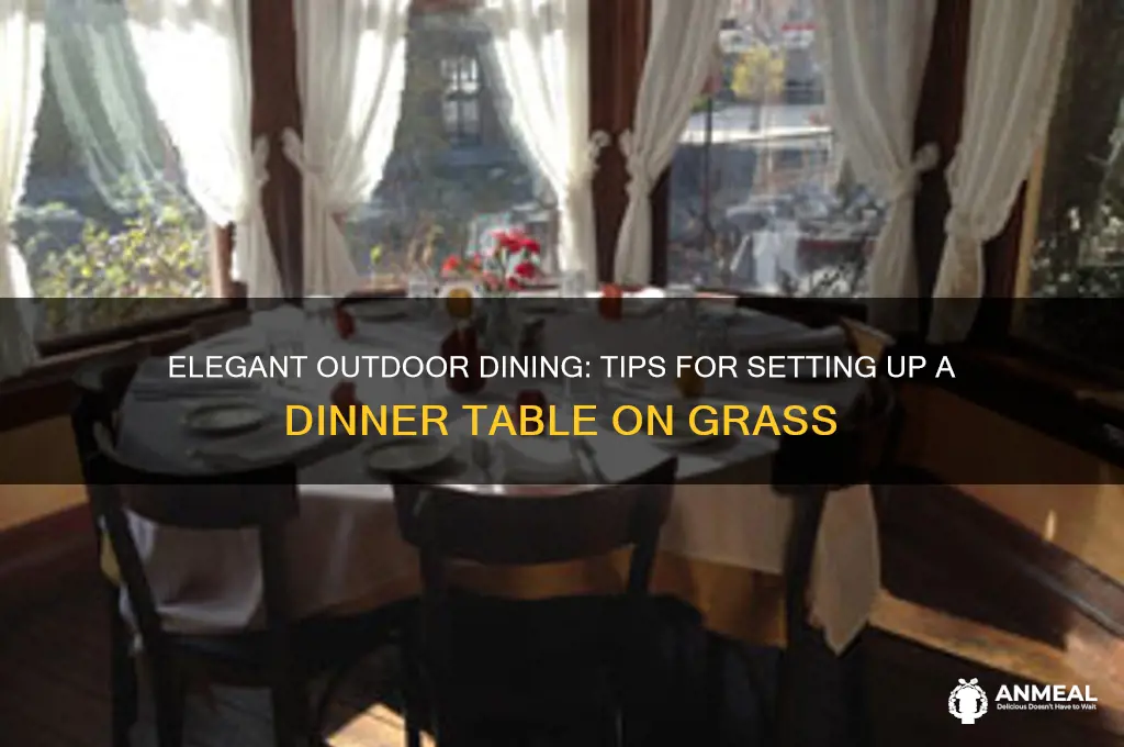 how to set up dinner table on grass
