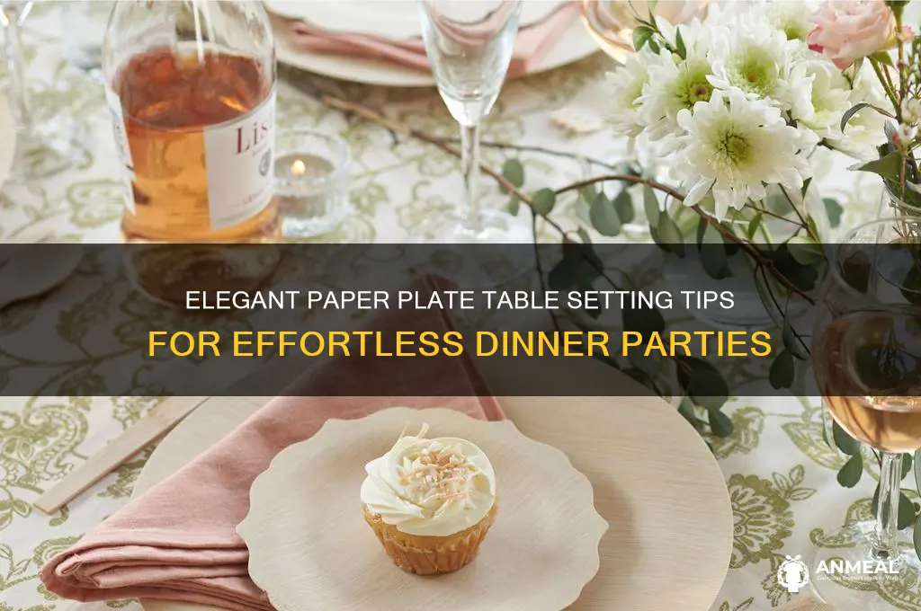 how to set up dinner table with paper plates