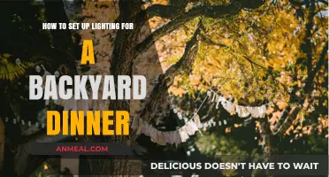 Create a Magical Ambiance: Backyard Dinner Lighting Setup Guide