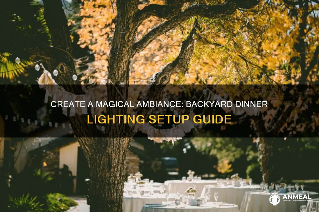 how to set up lighting for a backyard dinner