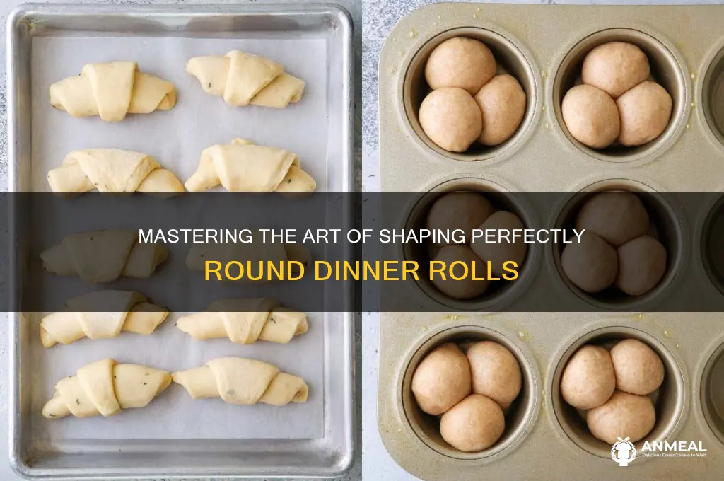 how to shape a dinner roll