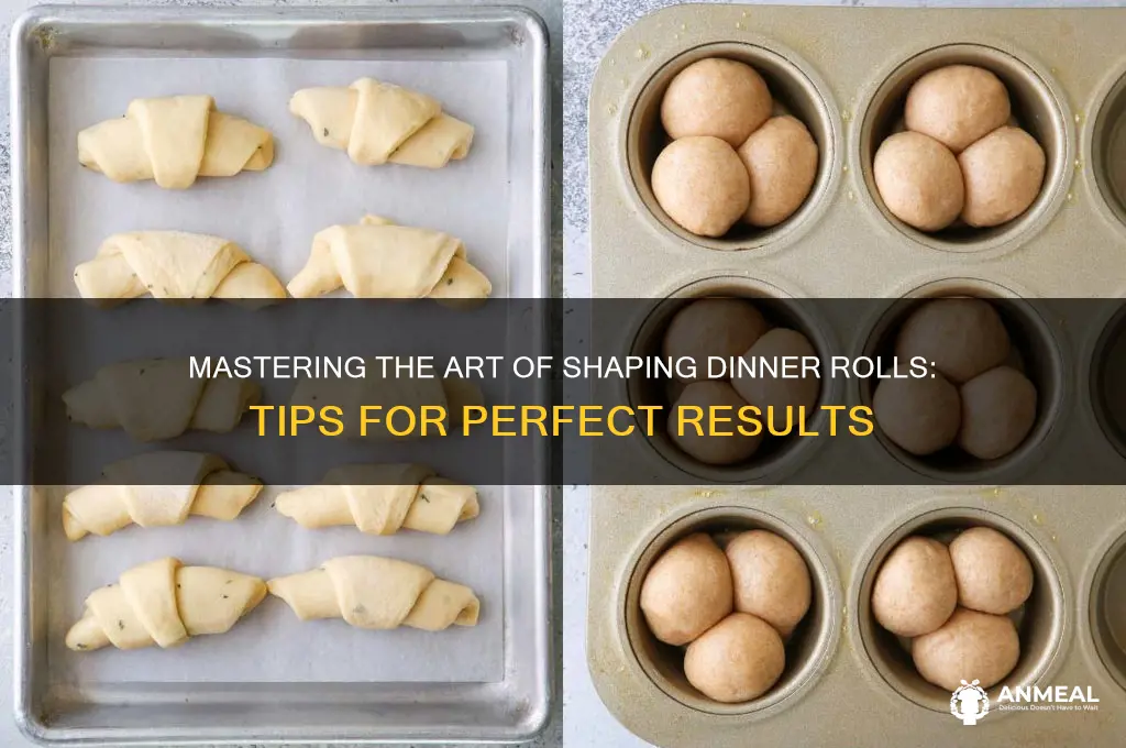 how to shape dinner ro