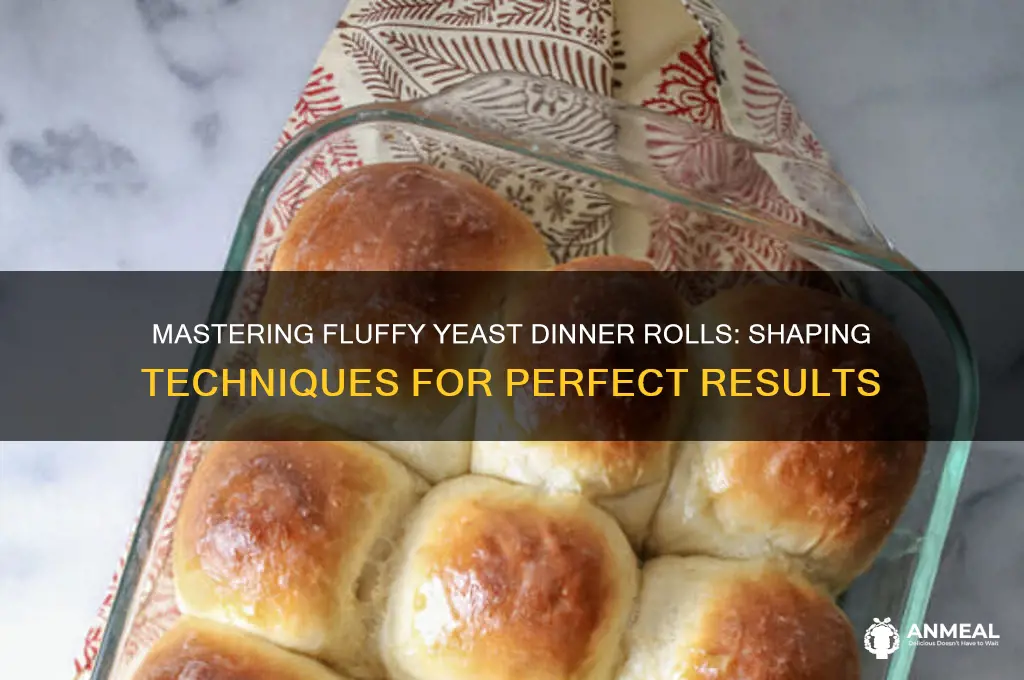 how to shape yeast dinner rolls