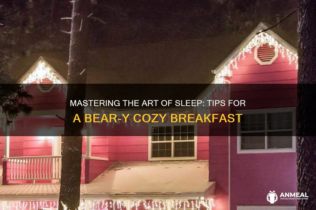how to sleep bear and breakfast