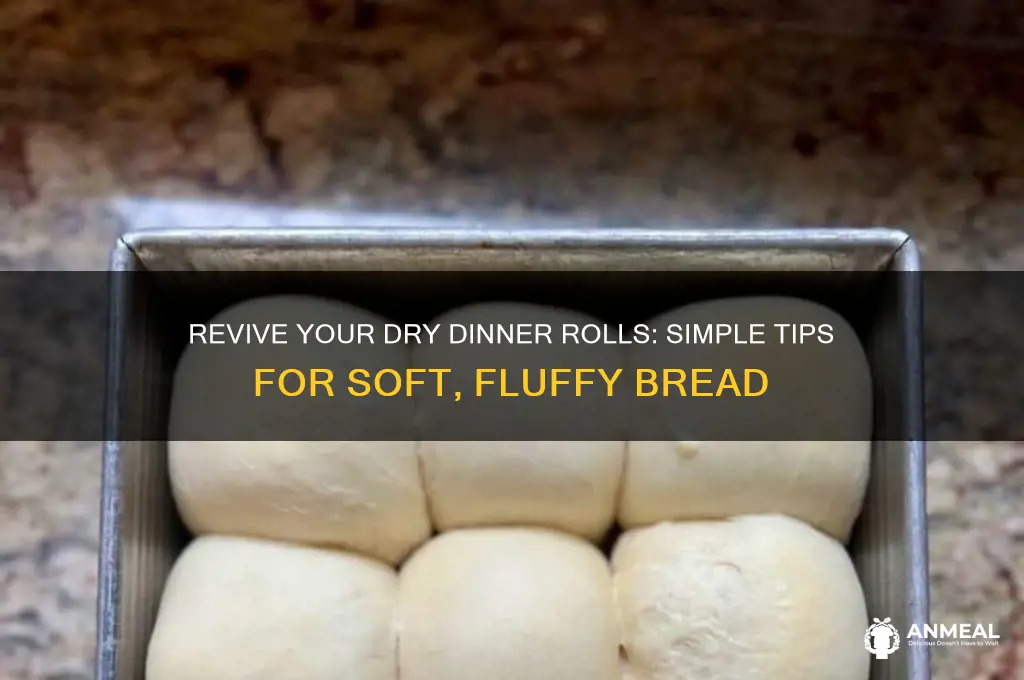 how to soften dry dinner rolls