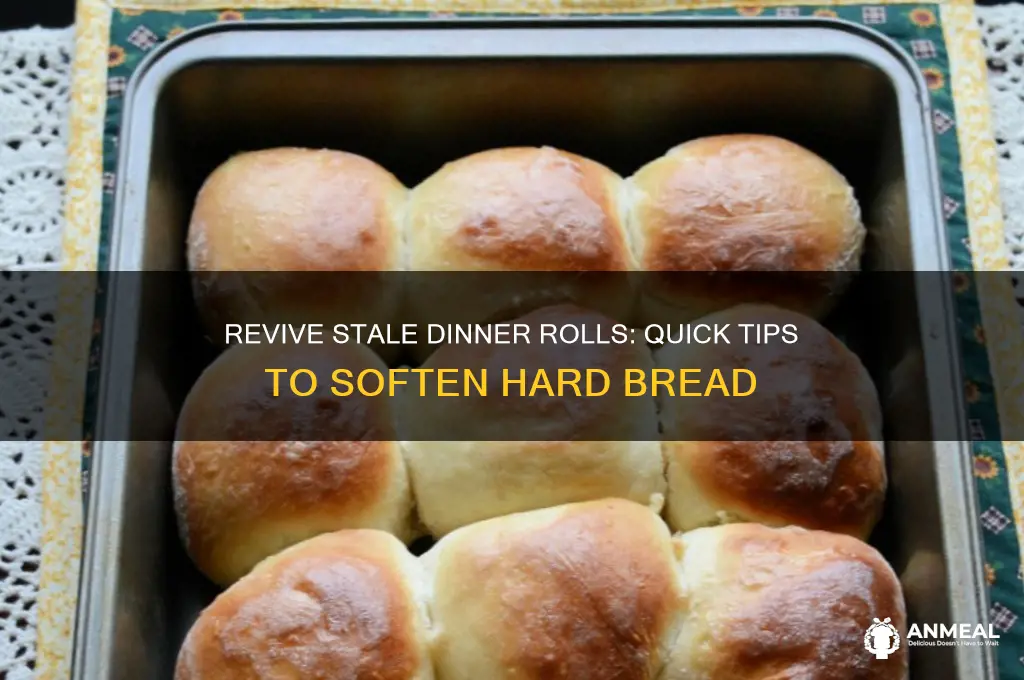 how to soften hard dinner rolls