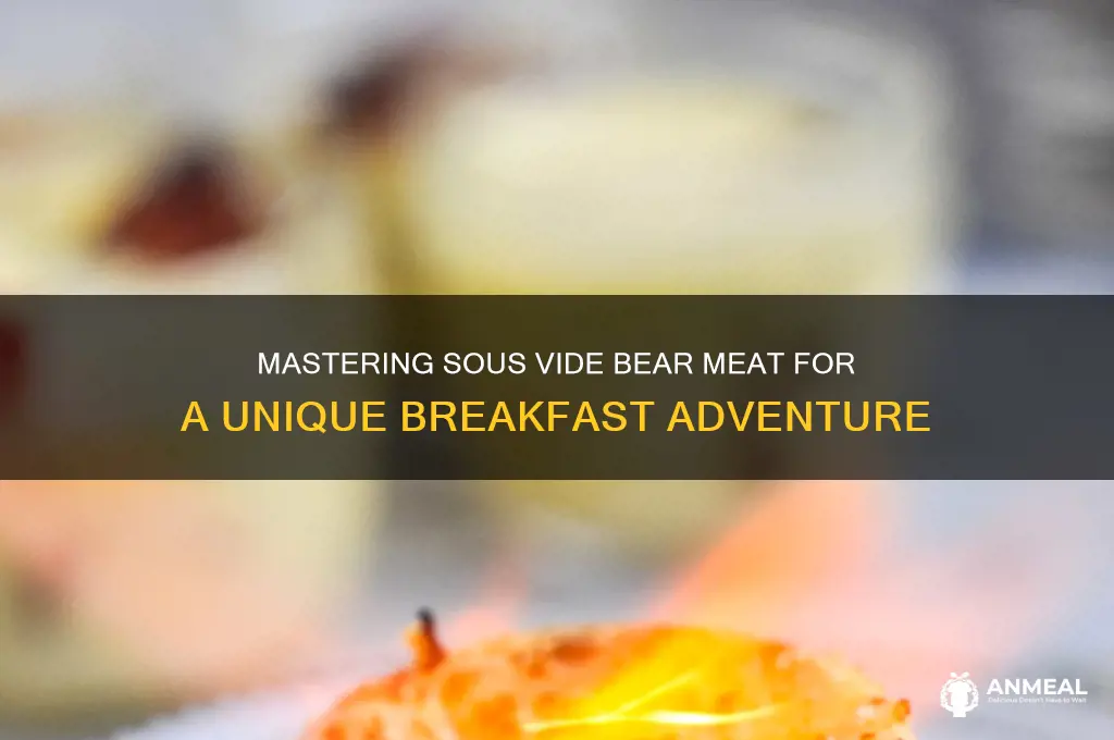 how to sous vide bear and breakfast