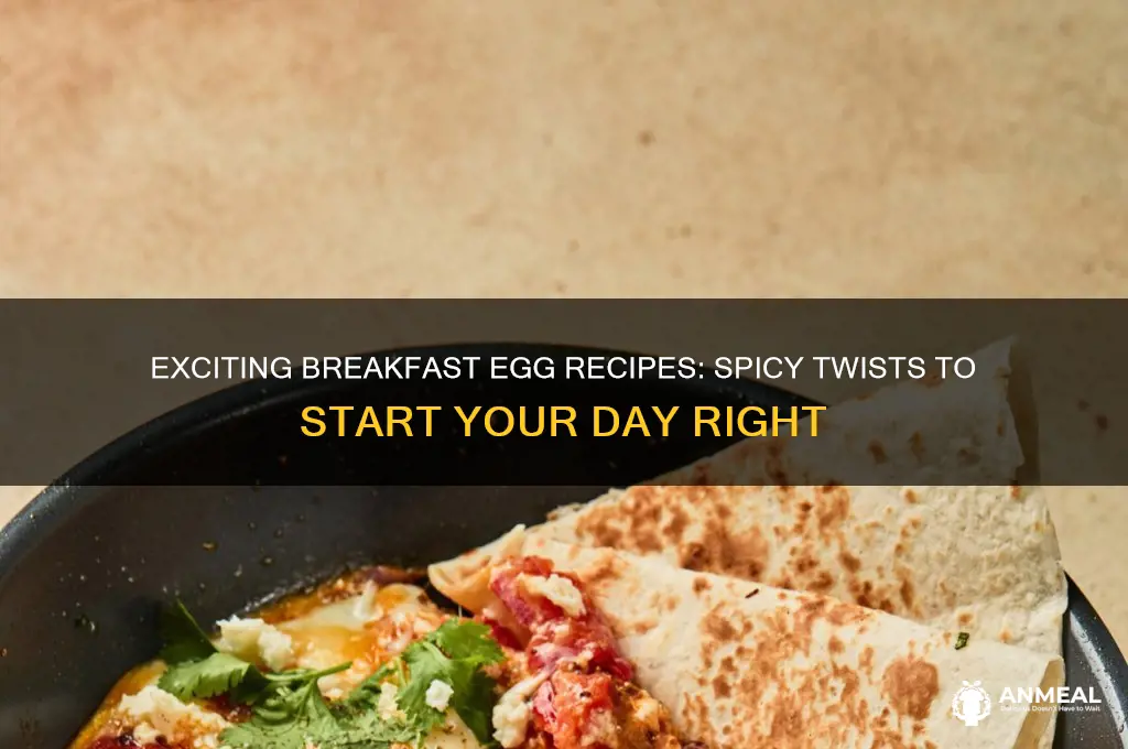 how to spice breakfast eggs