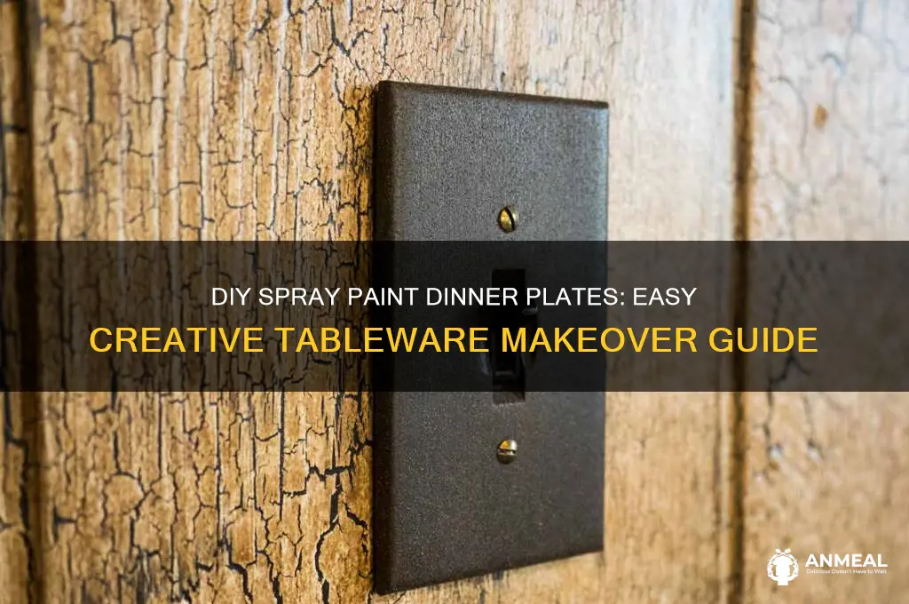 how to spray paint dinner plates