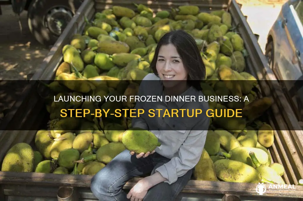 how to start a frozen dinner business