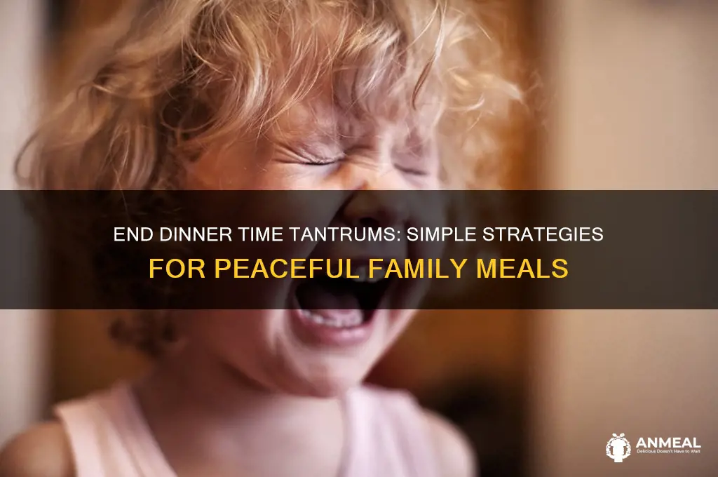 how to stop dinner time tantrums