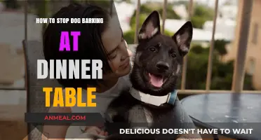 Stop Dog Barking at Dinner Table: Effective Training Tips for Peaceful Meals