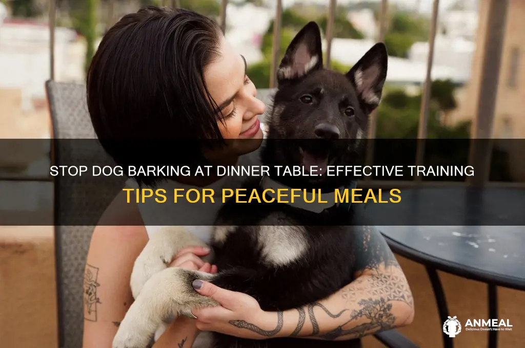 how to stop dog barking at dinner table