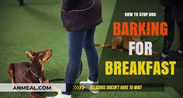 Stop Morning Barking: Train Your Dog for a Quiet Breakfast