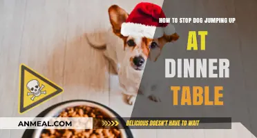 Train Your Dog to Stay Grounded During Dinner Time
