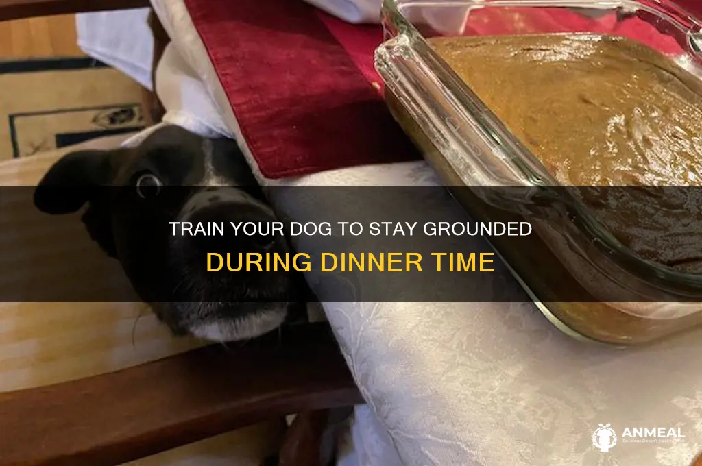 how to stop dog jumping up at dinner table