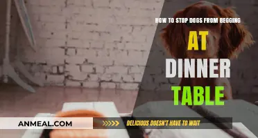 Stop Dog Begging: Effective Tips for a Peaceful Dinner Table