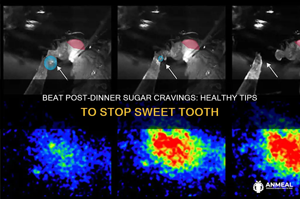how to stop sweet tooth after dinner