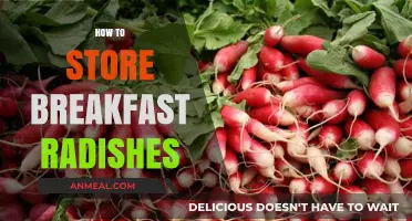Fresh and Crisp: The Ultimate Guide to Storing Breakfast Radishes
