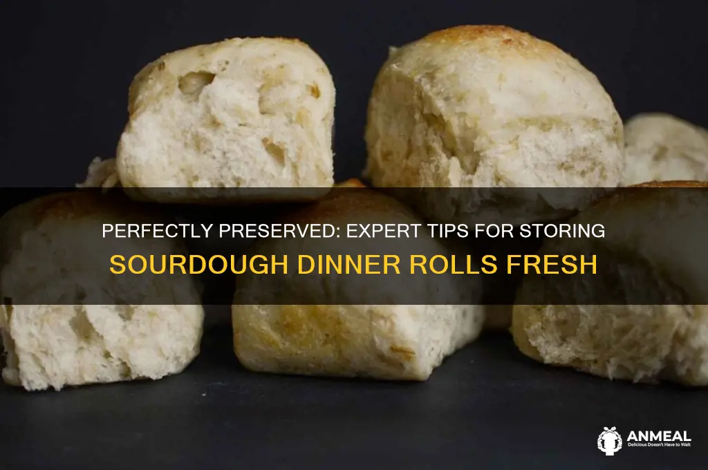how to store sourdough dinner rolls