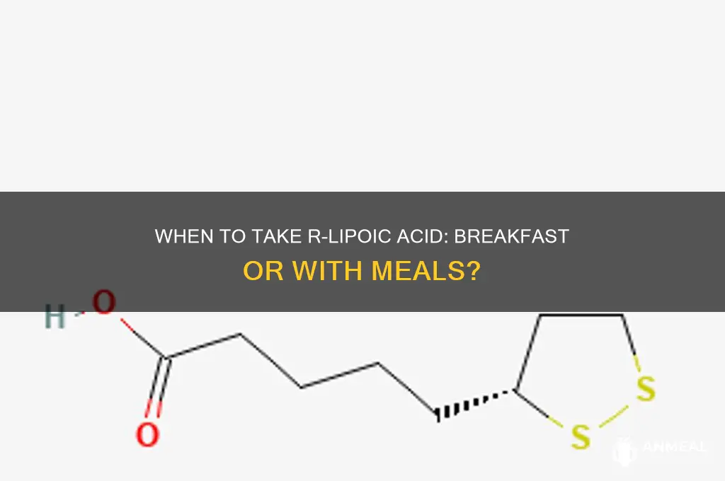 how to take r lipoic acid breakfast or with meal
