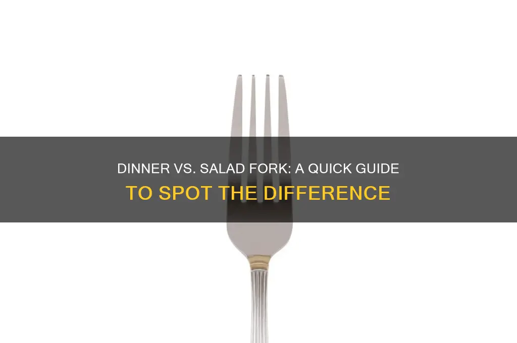 how to tell a dinner fork and salad fork apart