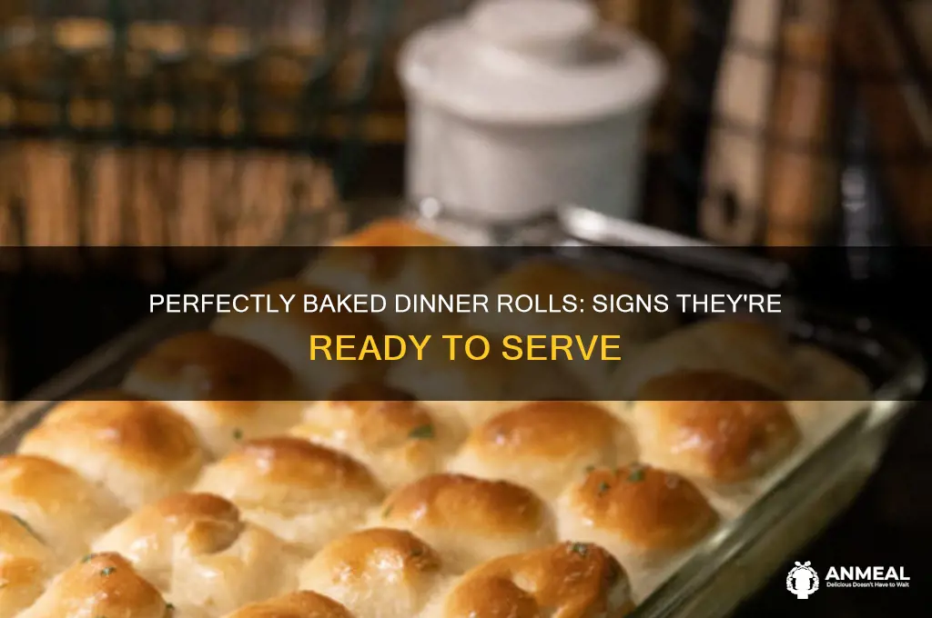 how to tell if dinner rolls are done