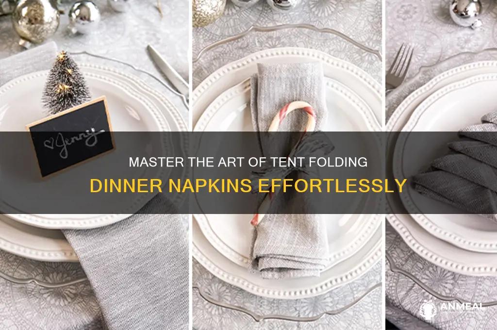 how to tent fold dinner napkins easy