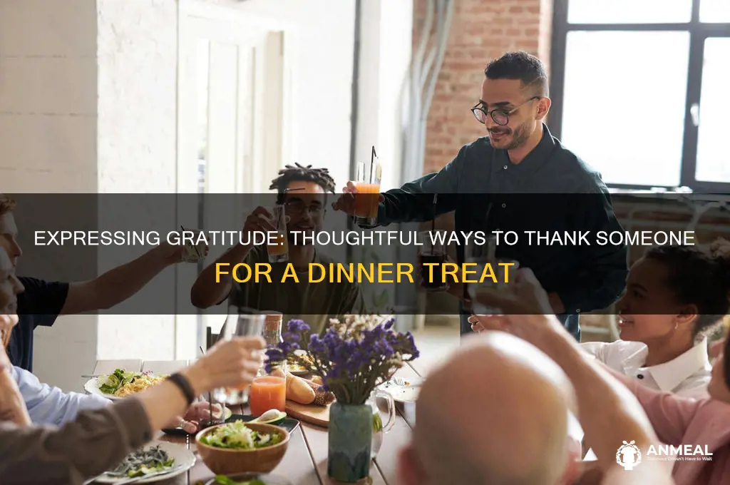 how to thank someone for treating you to dinner