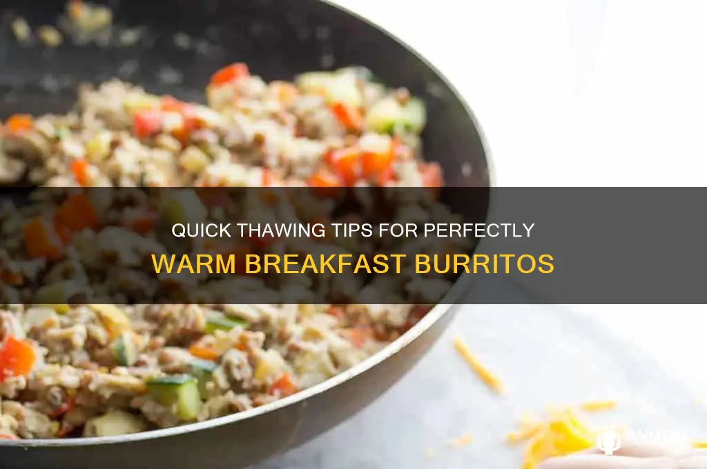 how to thaw breakfast burritos