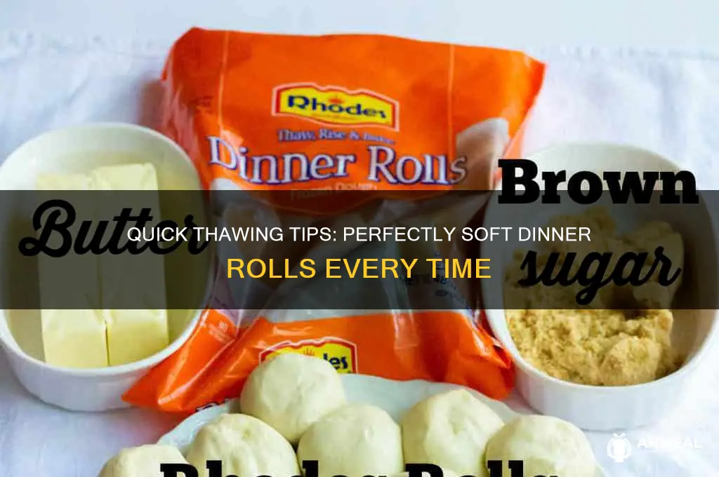 how to thaw dinner rolls
