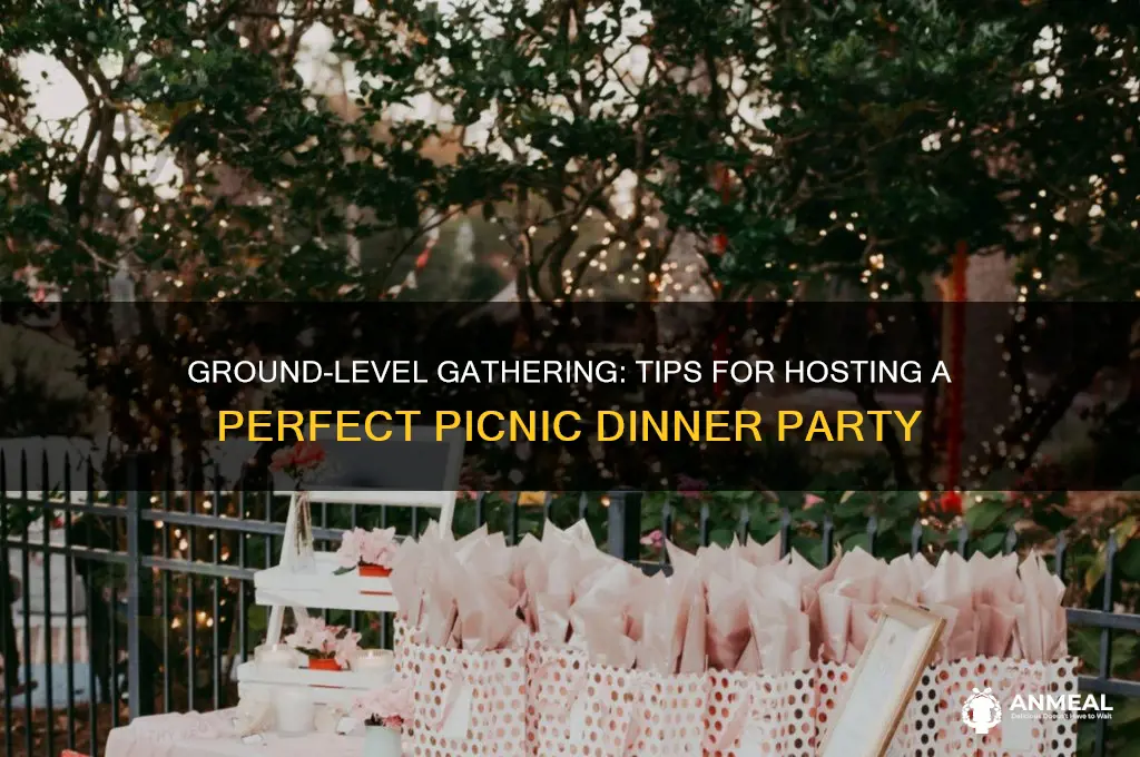 how to throw a dinner party on the ground