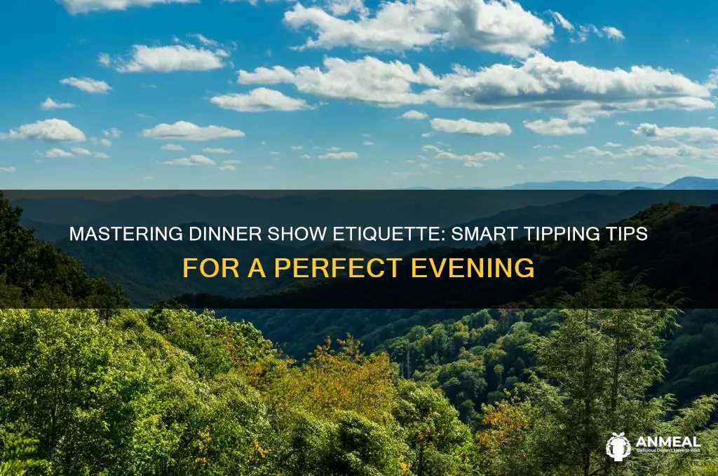 how to tip at a dinner show