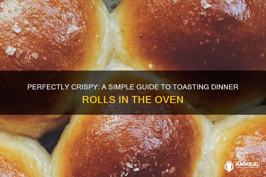 how to toast dinner rolls in oven