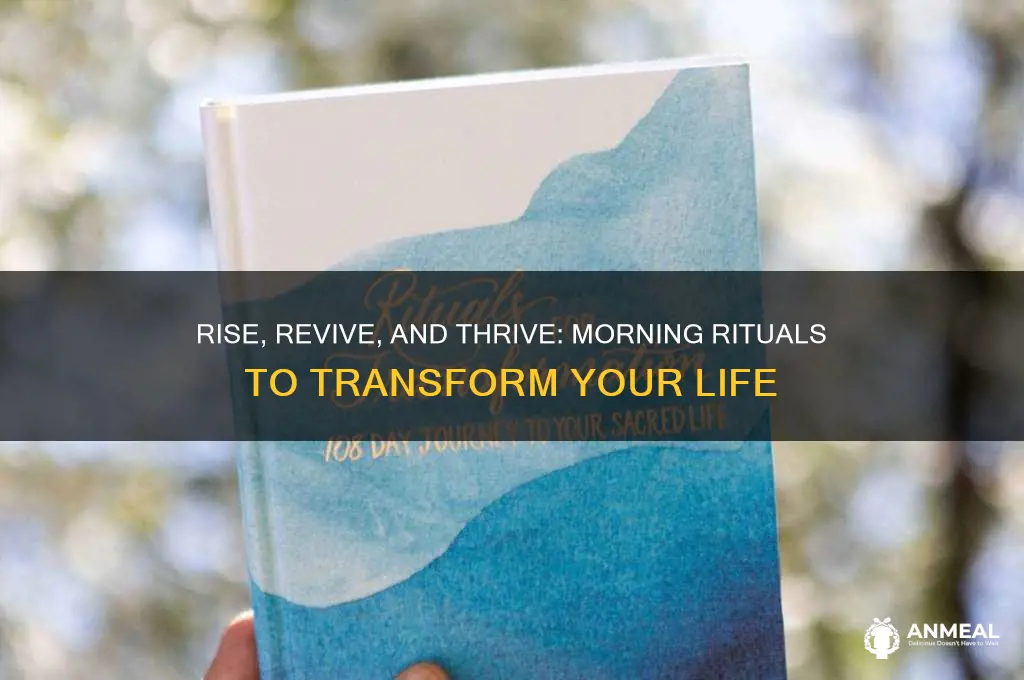 how to totally transform your life before breakfast