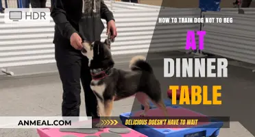 Stop Begging: Effective Training Tips for Polite Dinner Table Dogs