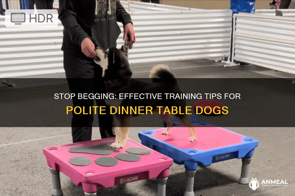 how to train dog not to beg at dinner table
