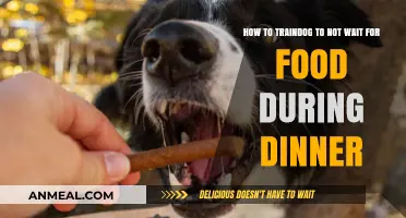 Train Your Dog to Ignore Dinner Time: Effective Tips and Tricks