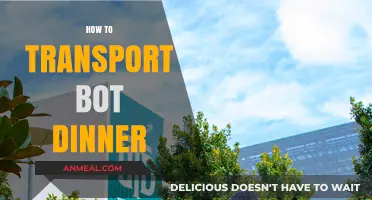 Efficiently Transporting Bot Dinner: Tips for Safe and Secure Delivery