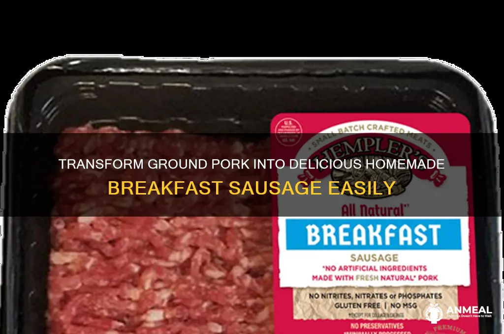 how to turn ground pork into breakfast sauage