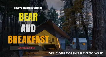 Enhance Your Campsite Bear and Breakfast Experience with These Upgrades