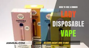 Mastering the Dinner Lady Disposable Vape: A Beginner's Quick Guide