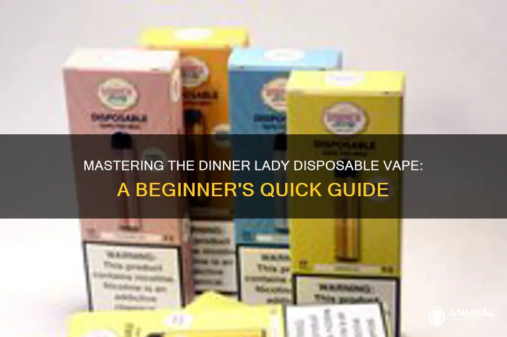 how to use a dinner lady disposable vape