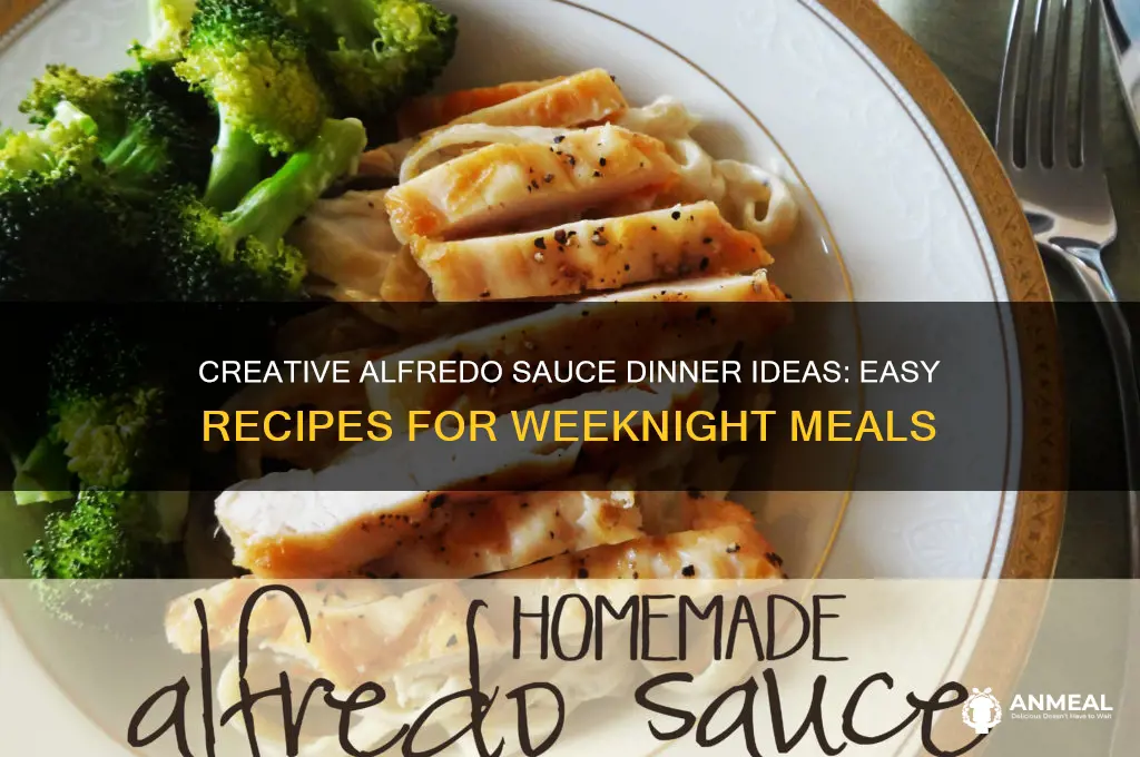 how to use alfredo sauce for dinner