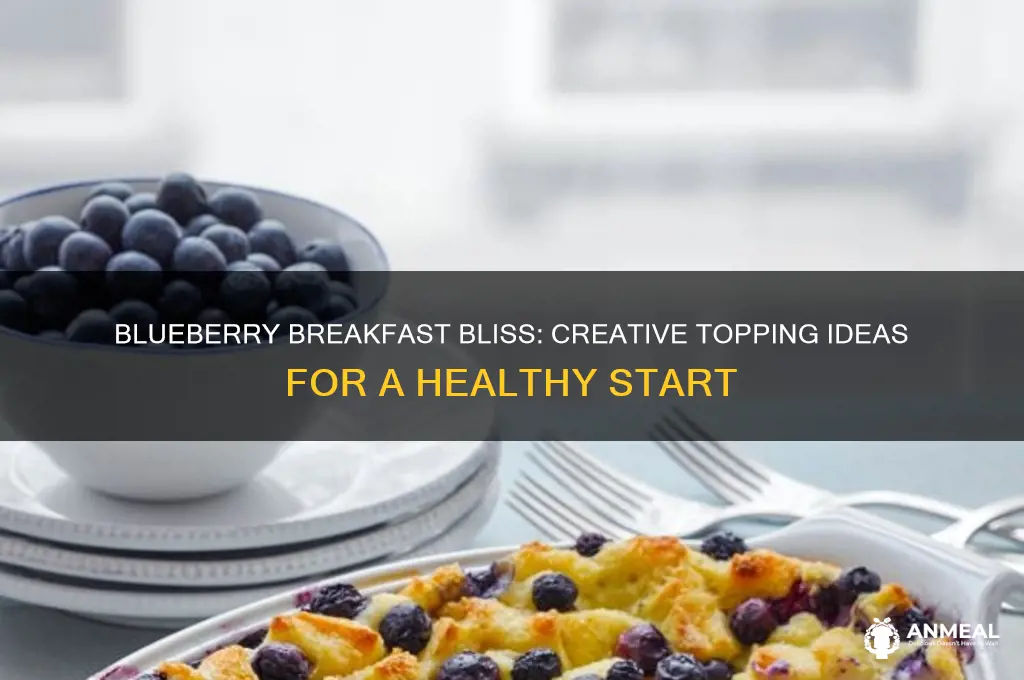 how to use blueberry as a breakfast topping