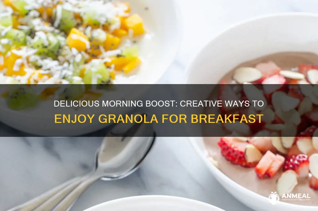 how to use granola for breakfast