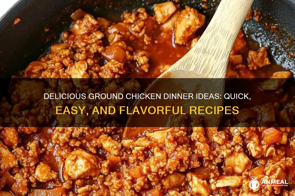 how to use ground chicken for dinner