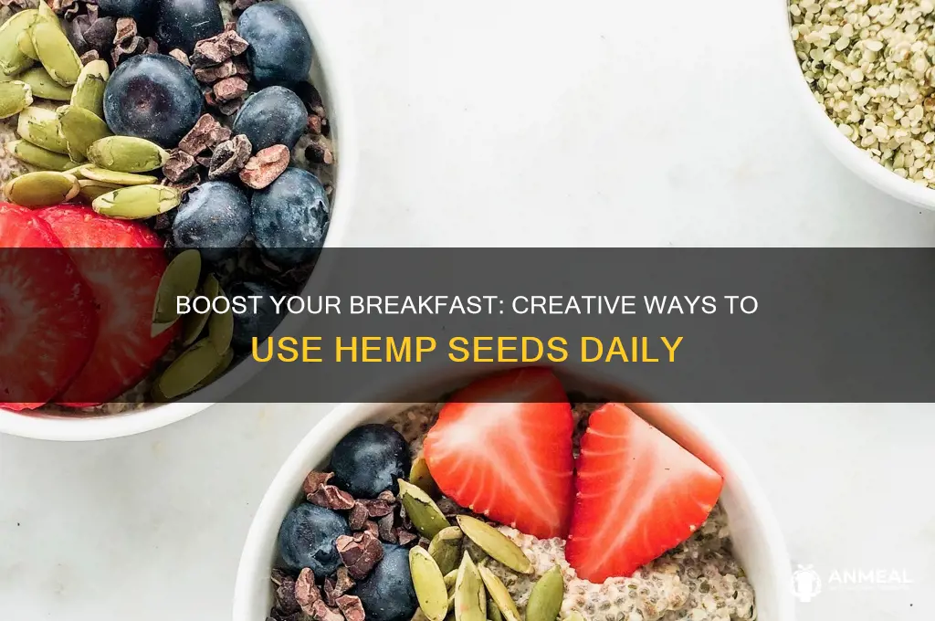 how to use hemp seeds for breakfast
