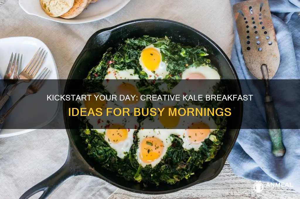 how to use kale for breakfast