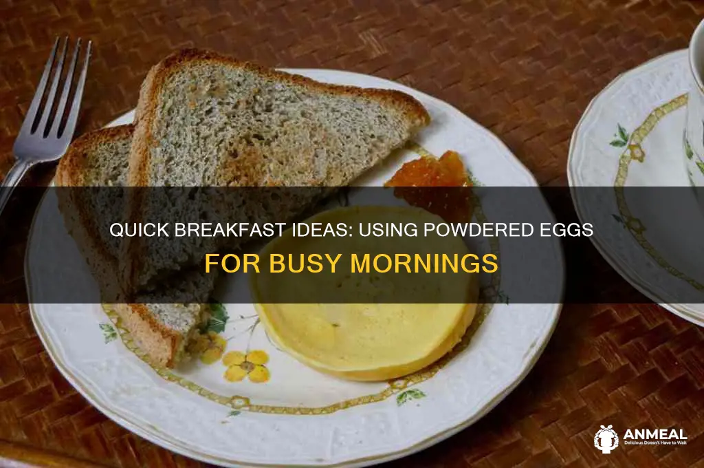 how to use powdered eggs for breakfast